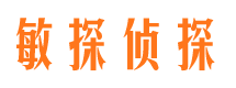 赤城寻人公司